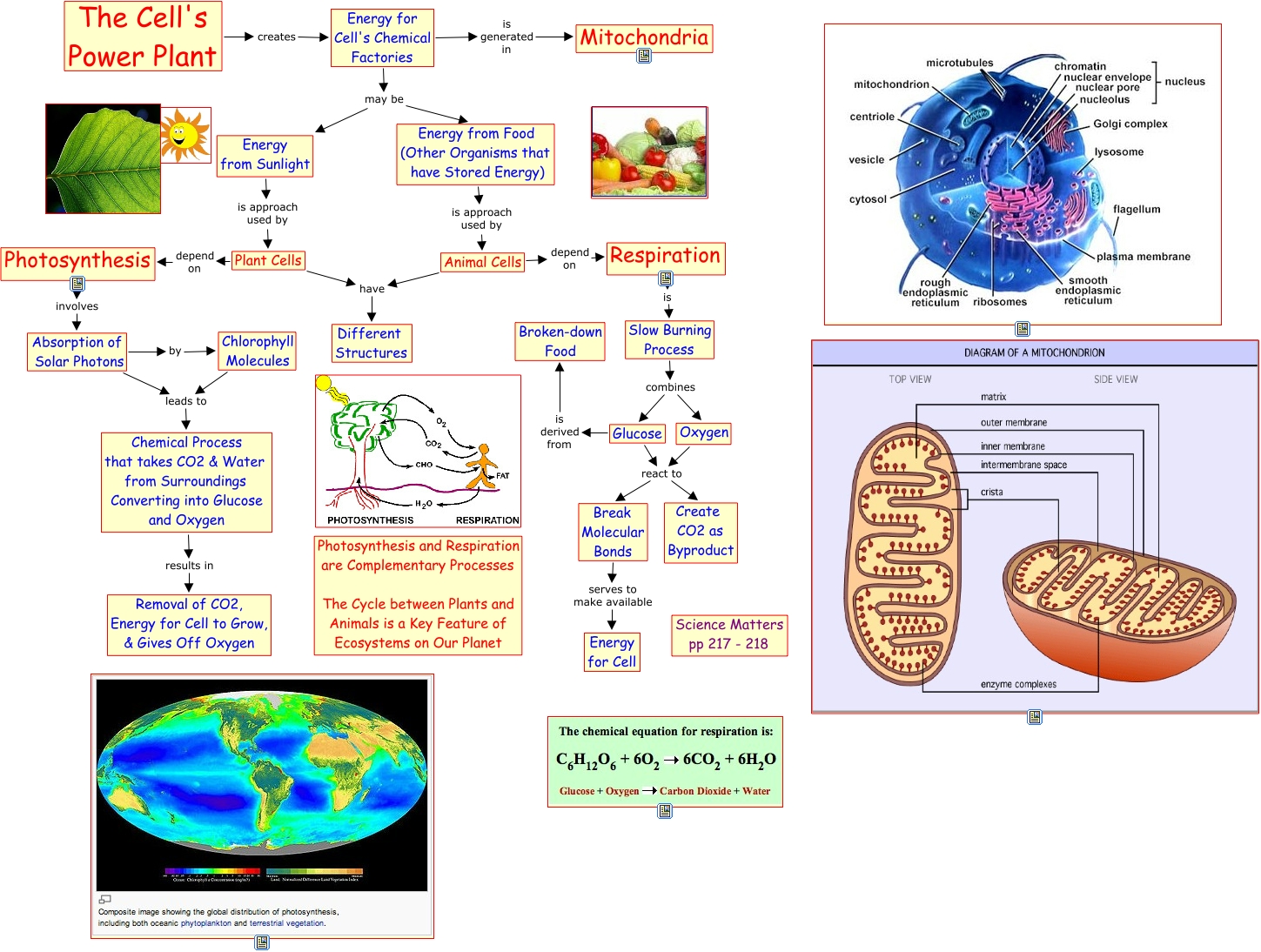 a159 Cell�sPowerPlant Photosynthesis &amp; Respiration