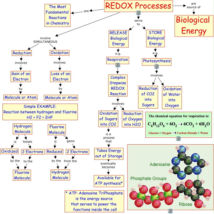 a163 REDOX Processes & Biological Energy