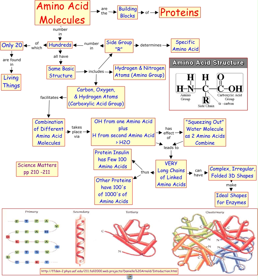 a125 Amino Acid Molecules